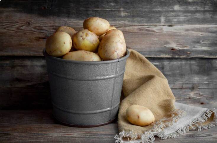 Μεταλλικός κουβάς με πατάτες