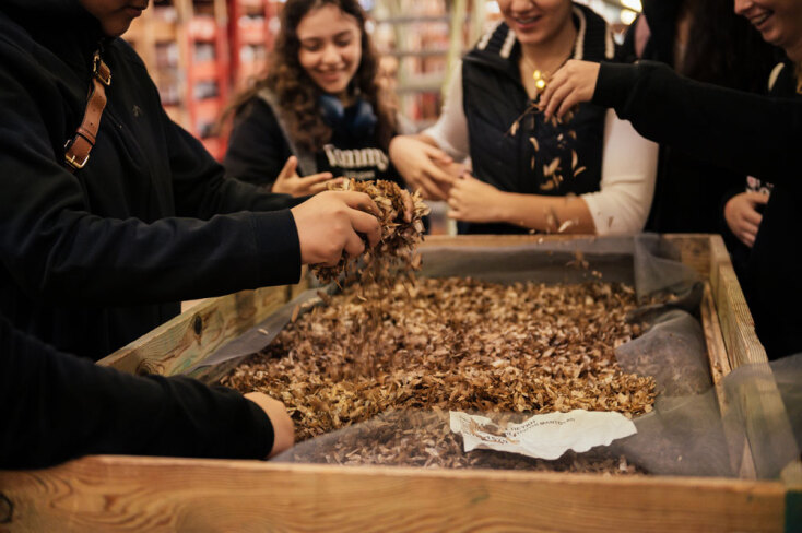 Αναδάσωση της Motor Oil