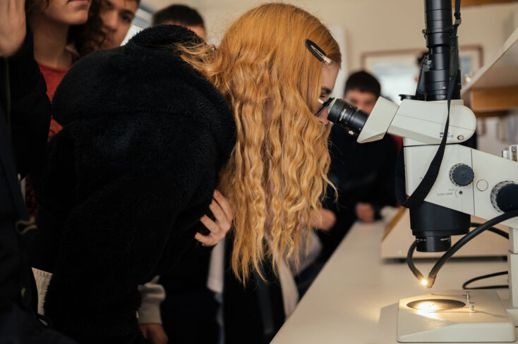 Αναδάσωση της Motor Oil