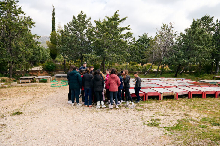 Αναδάσωση της Motor Oil