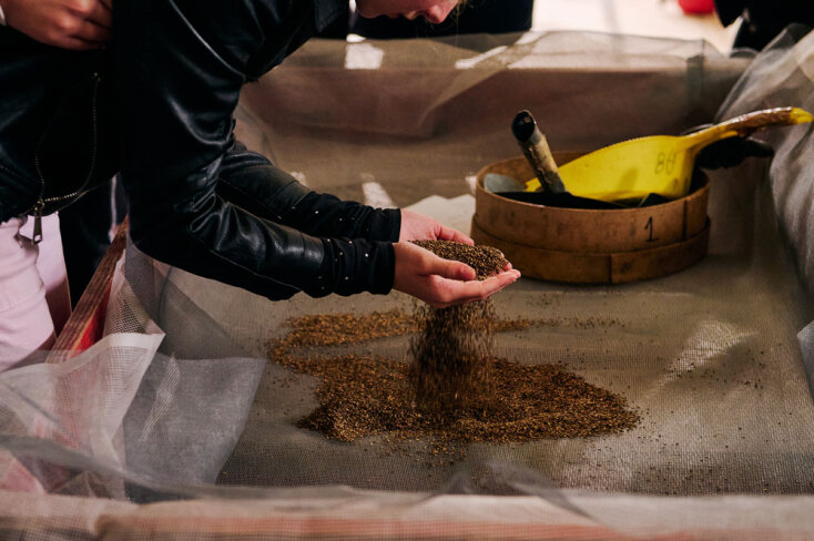 Αναδάσωση της Motor Oil