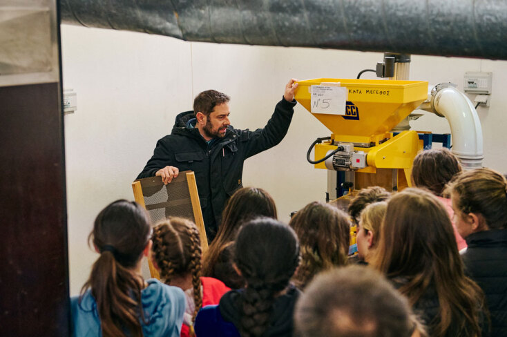 Αναδάσωση της Motor Oil