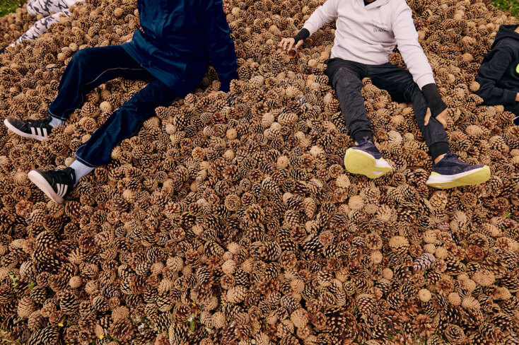 Αναδάσωση της Motor Oil