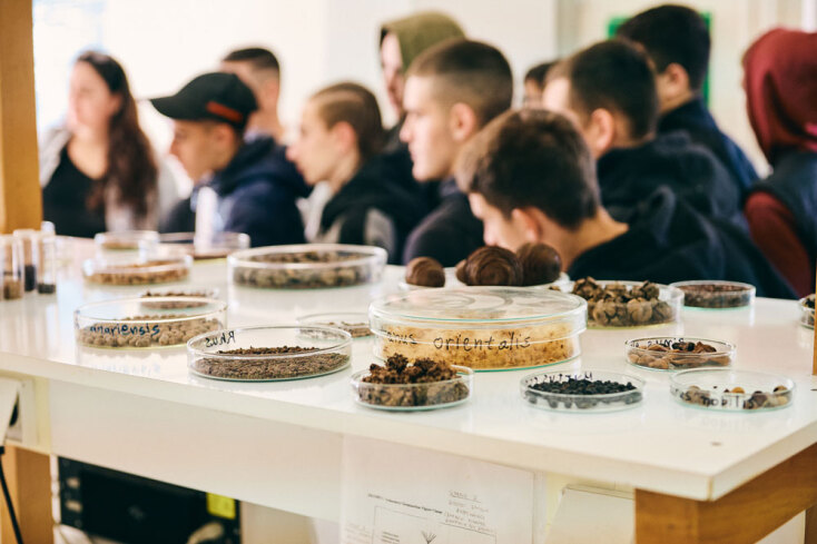 Αναδάσωση της Motor Oil