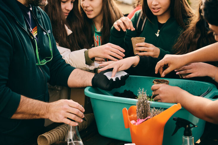 Αναδάσωση της Motor Oil