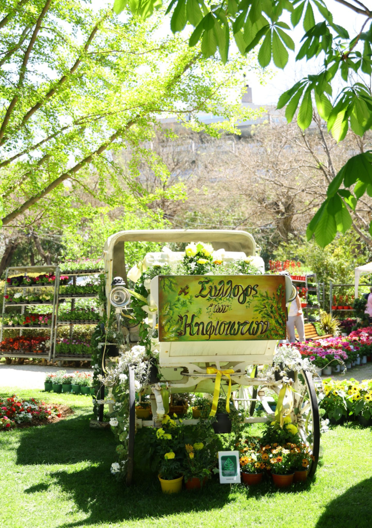 Ανθοκομική Έκθεση Δήμου Κηφισιάς