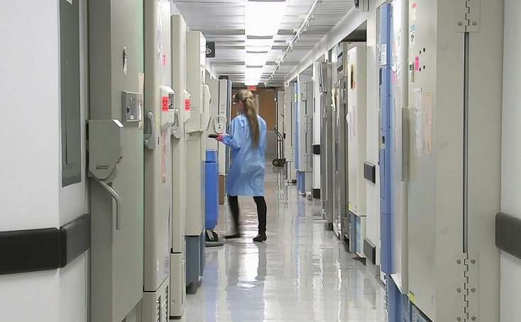 Ανθρωπιστική Ιατρική: Ο Αναστάσιος Γερμενής για τη διαδρομή από τον πατερναλισμό στην ασθενοκεντρικότητα