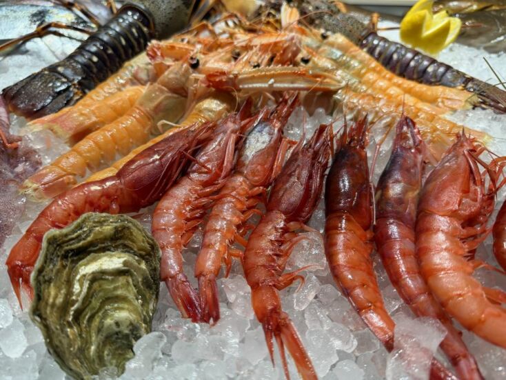 Casa Fish 