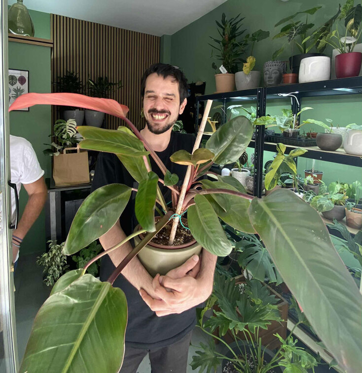 «My tropical plant» στη Θεσσαλονίκη