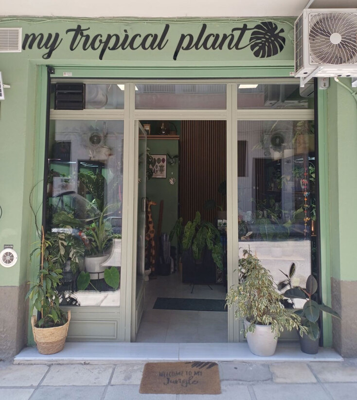 «My tropical plant» στη Θεσσαλονίκη