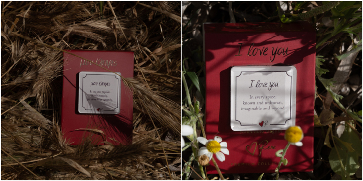 Μπισκότα Rene Love Brand