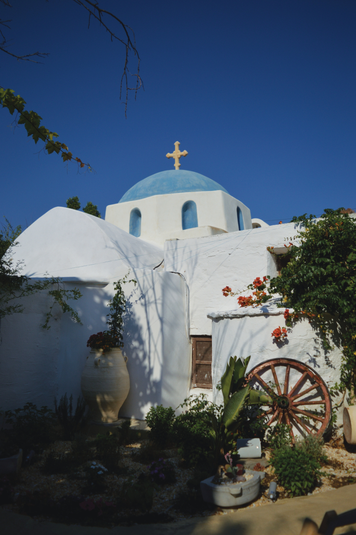 Yucca Paros