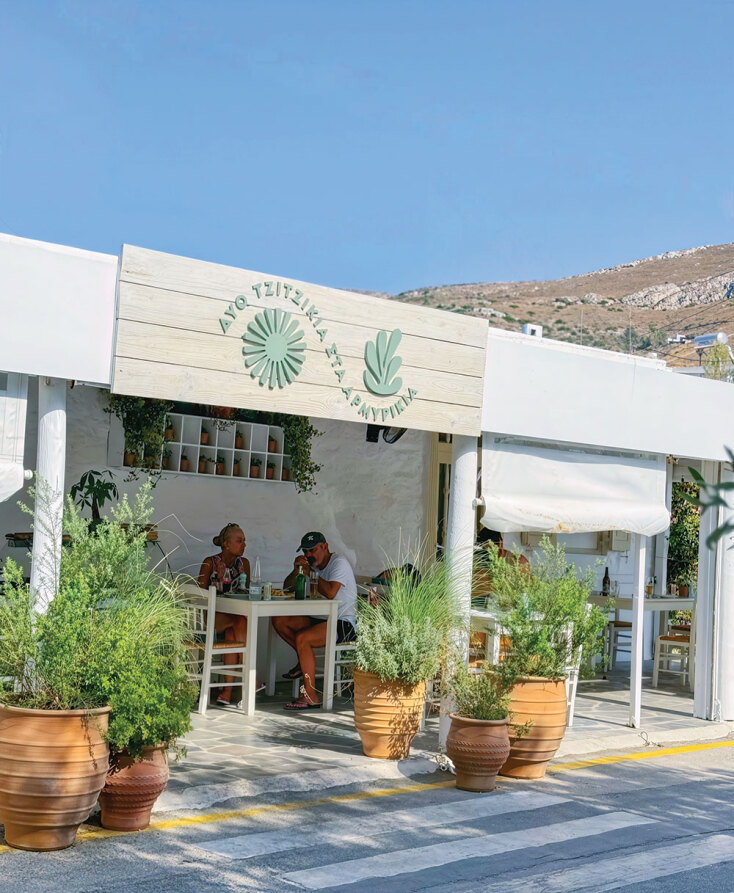 Δυο τζιτζίκια στ’ αρμυρίκια
