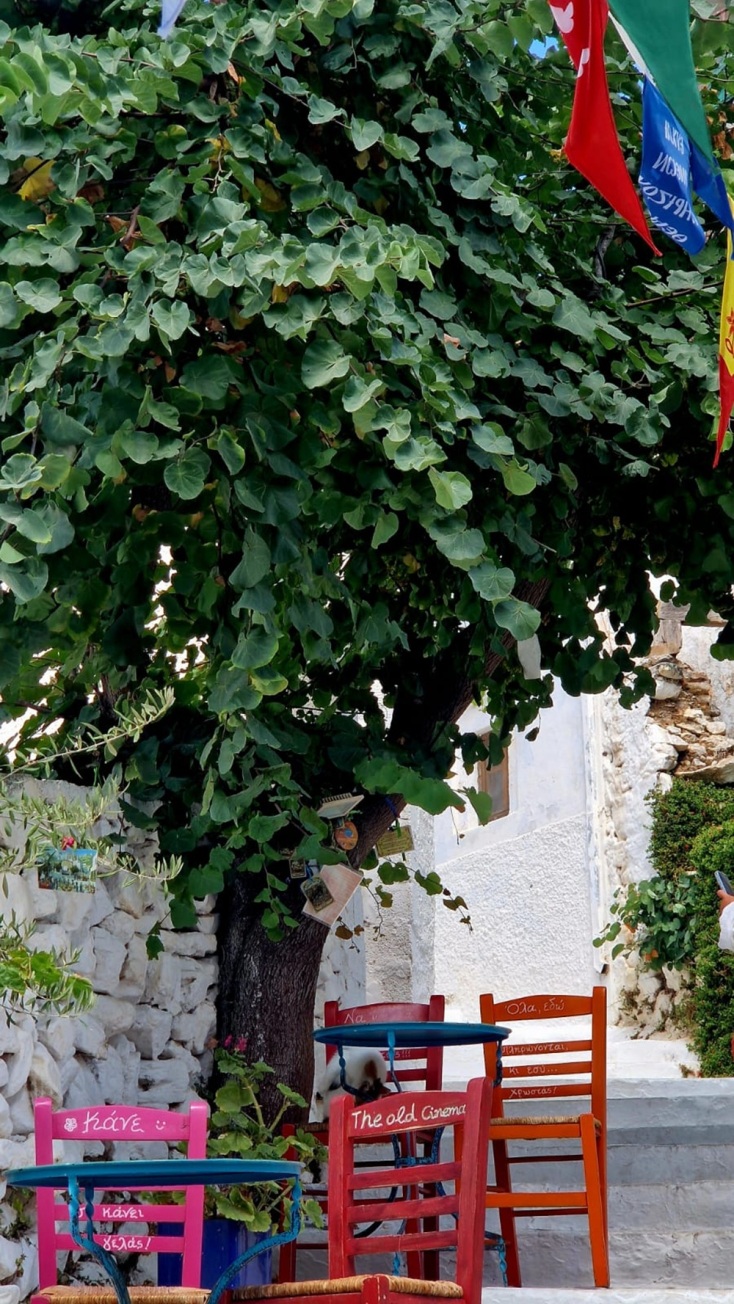 Το παλιό σινεμά - Η ταινία που έγραψαν οι καρέκλες