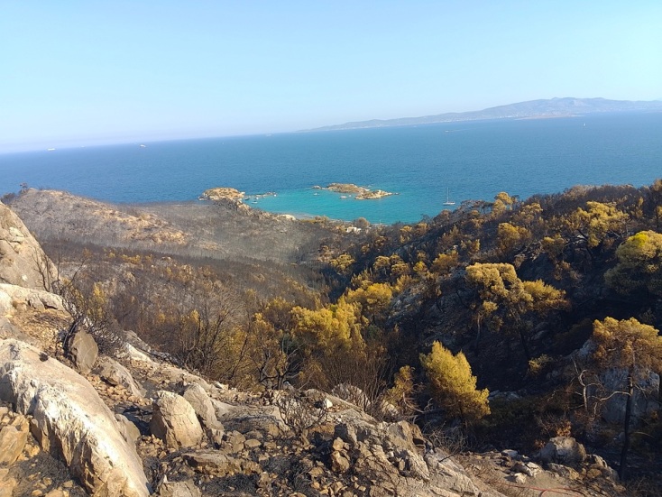 Σπήλαιο του Ευριπίδη: Όταν οι πυρκαγιές αγγίζουν την ιστορία