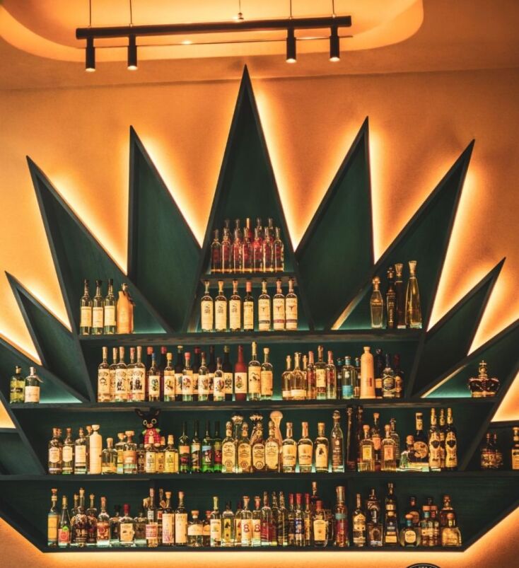 Dos Agaves