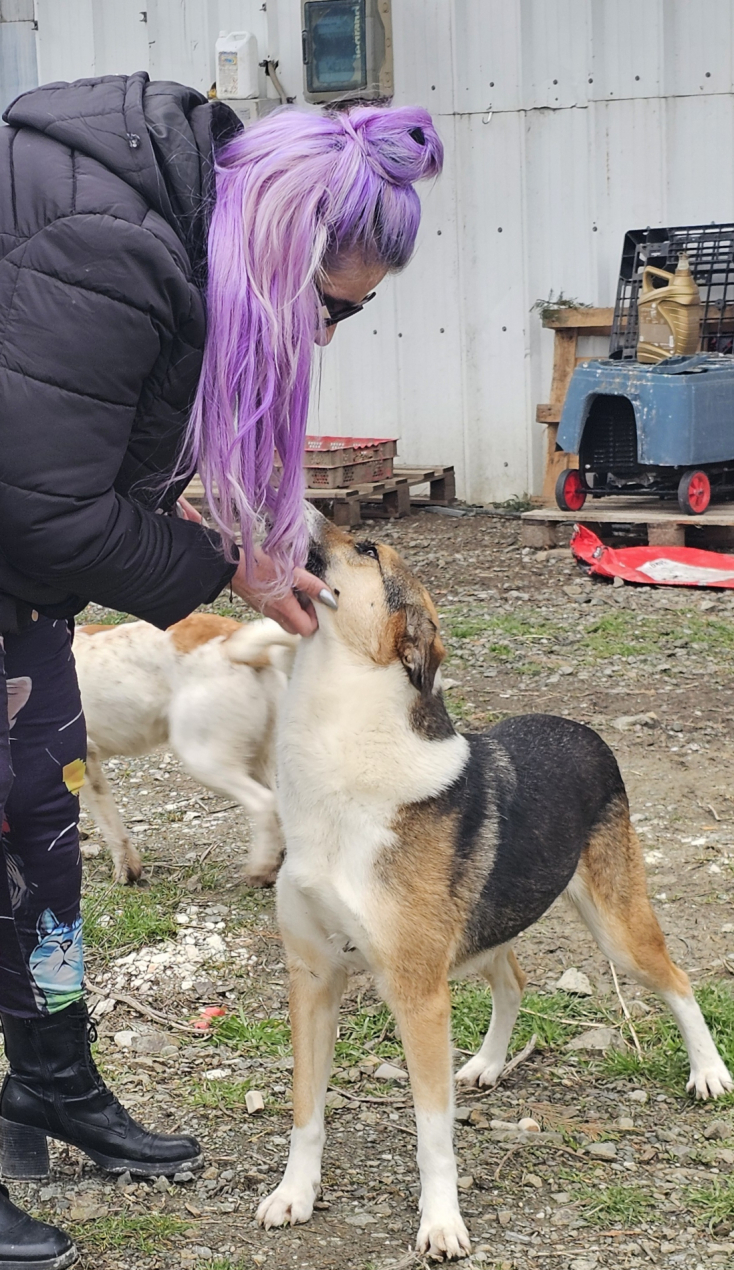 Η Κατερίνα Παπαποστόλου με αδέσποτα