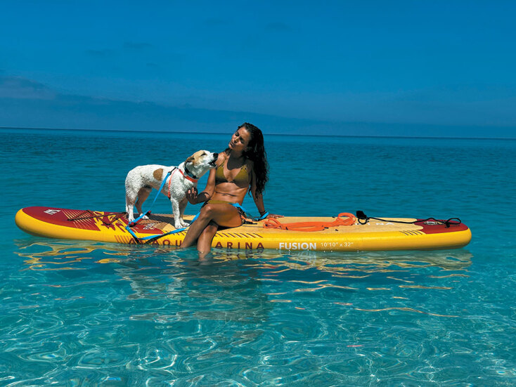 Bailu dog accessory