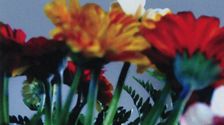 Δέσποινας Μεϊμάρογλου Les Fleurs du Mal, 2004-2005, Ψηφιακή εκτύπωση και ξυλομπογιές σε χαρτί χειροποίητο - Ιδιωτική Συλλογή