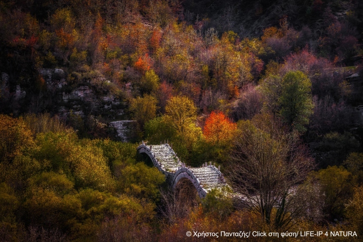 Περιβάλλον