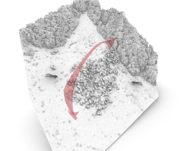 ΥΠΠΟ: Ναυάγιο της πρώιμης βυζαντινής περιόδου (5ος - 6ος αιώνας μ.Χ.) ερευνήθηκε στους Φούρνους - Έχουν καταγραφεί 8 τύποι αμφορέων.