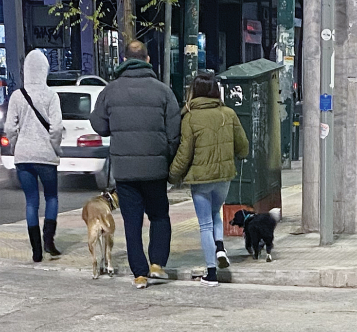 Ζευγάρι που έχει βγάλει βόλτα τα σκυλιά