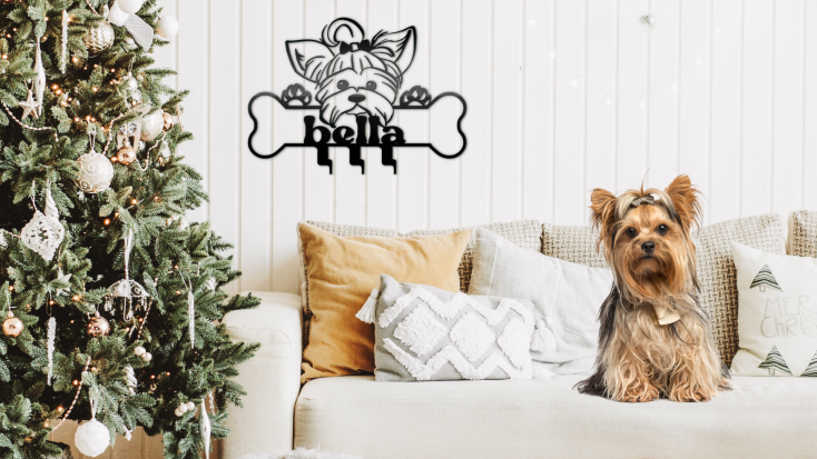 Μικρός σκύλος σε άσπρο σαλόνι