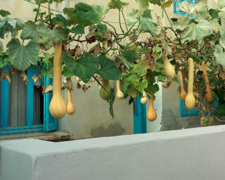 Kournos Music Festival 2023