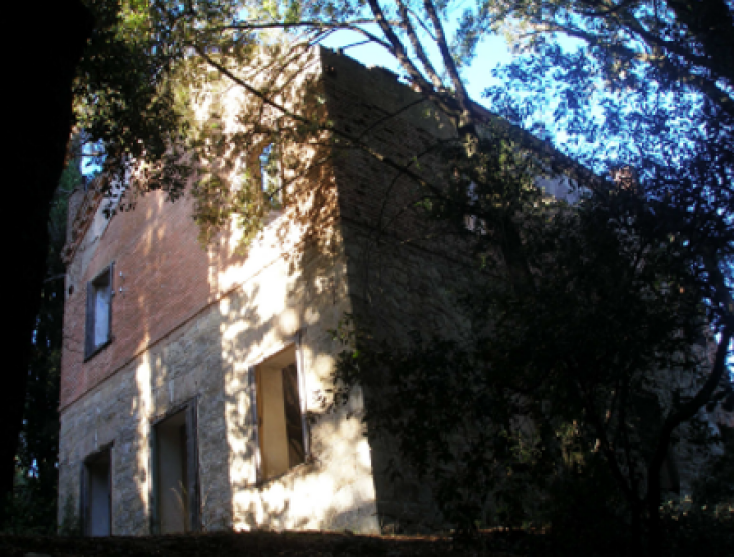 Οικία Strum (Έκθεση θεματικών συλλογών