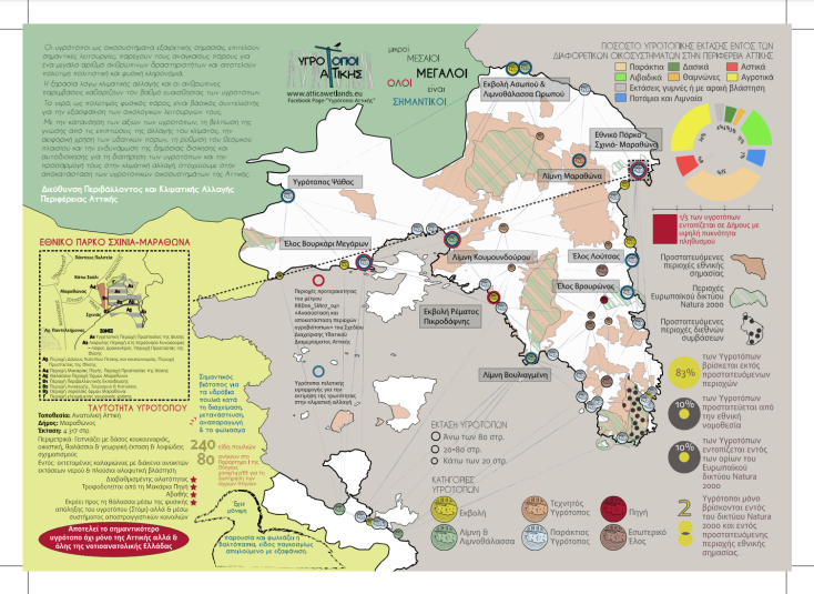 Η άλλη πλευρά του Σχινιά κρύβει έναν σπουδαίο υγροβιότοπο που λίγοι έχουμε γνωρίσει