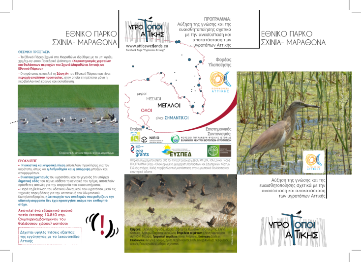 Η άλλη πλευρά του Σχινιά κρύβει έναν σπουδαίο υγροβιότοπο που λίγοι έχουμε γνωρίσει