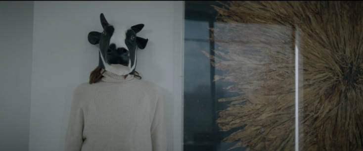 Χάρης Βαφειάδης: «Όταν όλα τα μικρά πράγματα πάνε λάθος, πρέπει να πηγαίνουμε και εμείς μαζί τους»