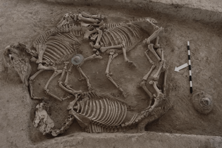 Υπουργείο Πολιτισμού: Σε εξέλιξη οι εργασίες για την ανάδειξη του ταφικού τύμβου στη Δοξιπάρα - Ζώνη στον Έβρο - Τα ευρήματα της ανασκαφής. 