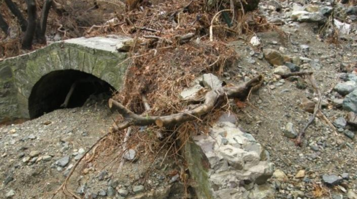 Επιχωματώσεις από φερτά υλικά και ξεριζωμένα δέντρα. Ανύψωση της στάθμης του πυθμένα από την πλημμύρα του 2017 