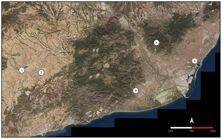 Κοχύλια ηλικίας 6.000 ετών στην Ισπανία ίσως αποτελούν τα αρχαιότερα μουσικά όργανα και μέσα επικοινωνίας στην Ευρώπη - Τα ευρήματα των αρχαιολόγων