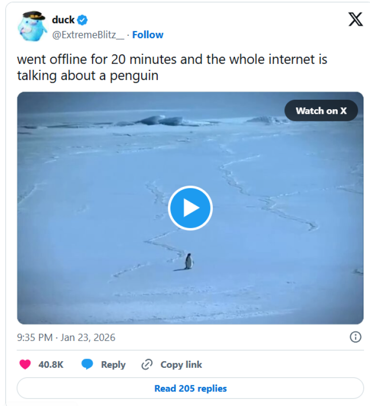 screenshot_2026-01-27_191129