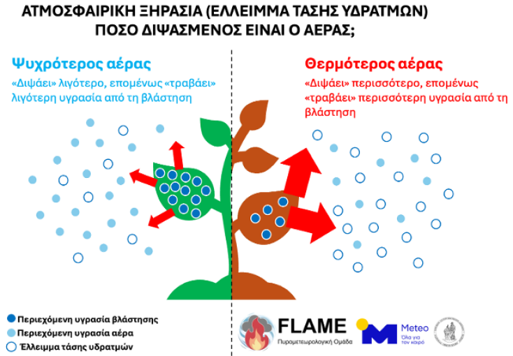 Οι πολύ θερμές και ξηρές συνθήκες που αναμένονται τις προσεχείς ημέρες θα αυξήσουν το έλλειμμα τάσης υδρατμών, επιτείνοντας περαιτέρω την ήδη επιβαρυμένη ευφλεκτότητα των δασικών καυσίμων σε αρκετές περιοχές της χώρας.