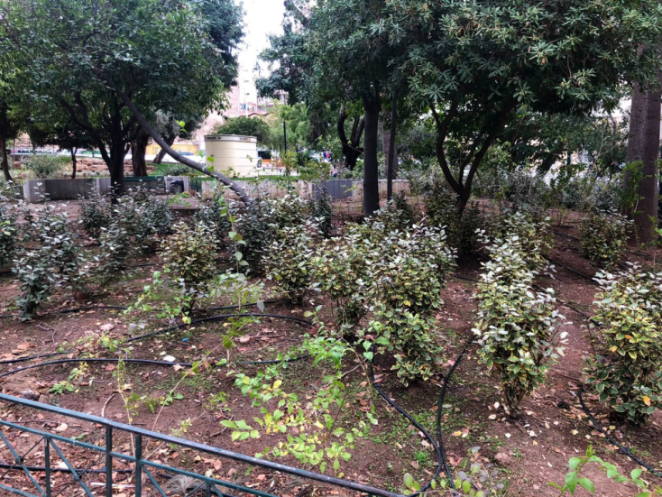 plateia-klathmonos-4_jpg