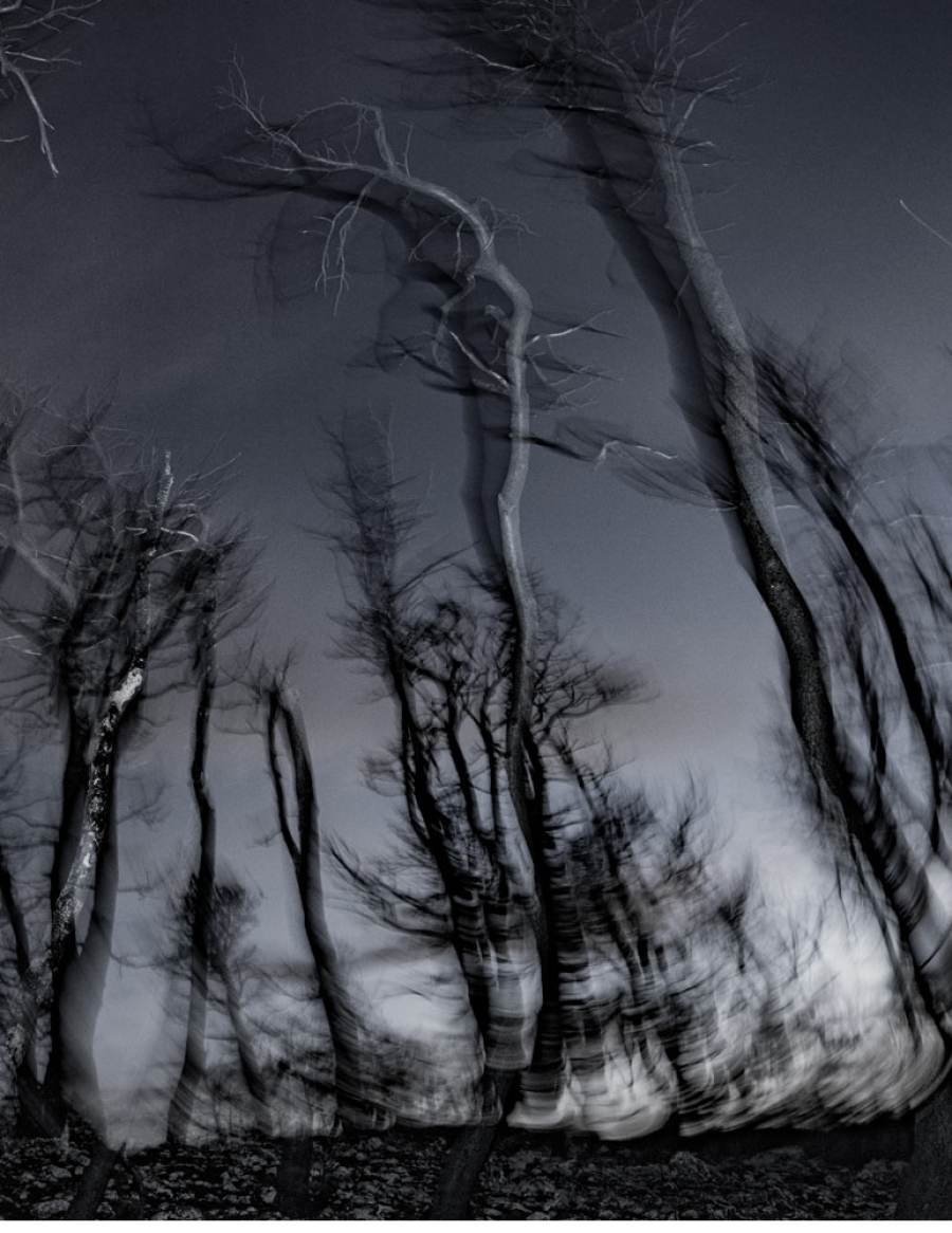 tasos-vrettos-to-ainigma-tou-dasous-1-8