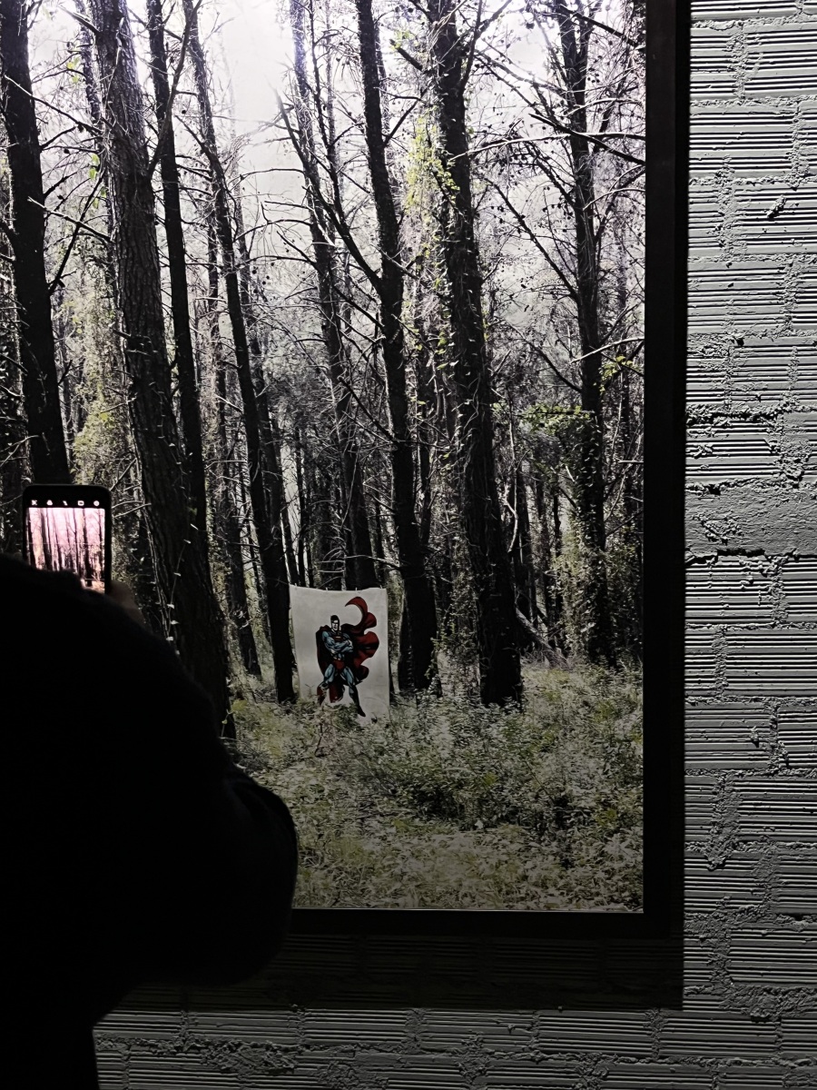 Επίσκεψη στην έκθεση του φωτογράφου Τάσου Βρεττού «Το αίνιγμα του Δάσους» στο κτίριο «Νόμπελ» στο Χαλάνδρι