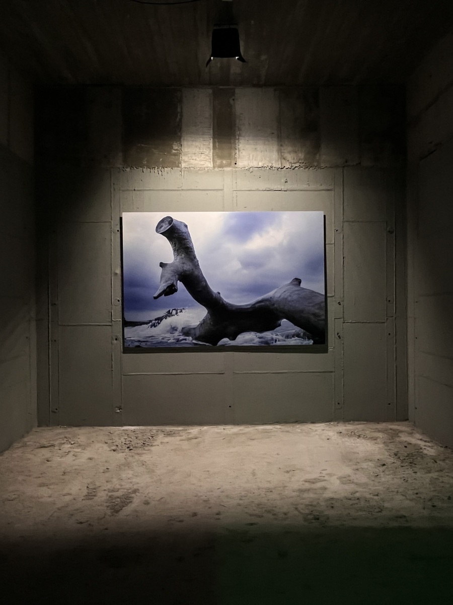 Επίσκεψη στην έκθεση του φωτογράφου Τάσου Βρεττού «Το αίνιγμα του Δάσους» στο κτίριο «Νόμπελ» στο Χαλάνδρι