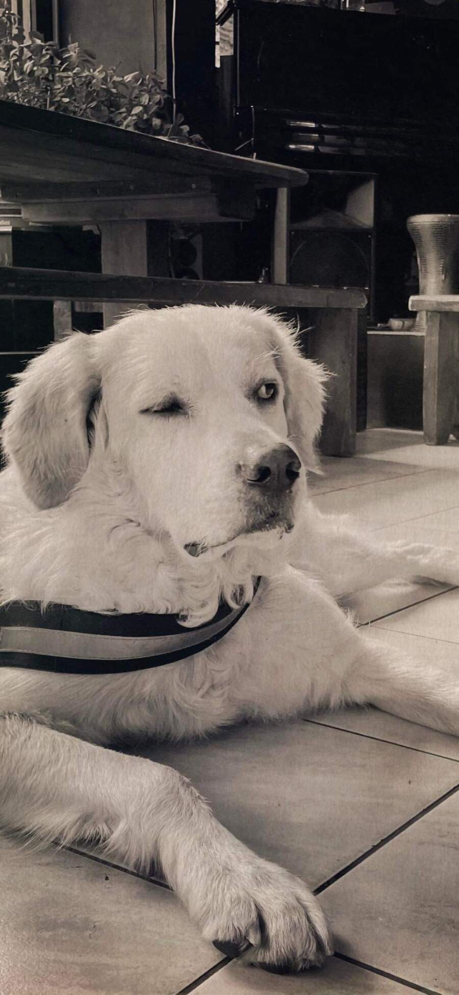 Επτά φωτογραφίες του Πέτρου Νικόλτσου από την εβδομάδα 20-27 Νοεμβρίου στην Αθήνα