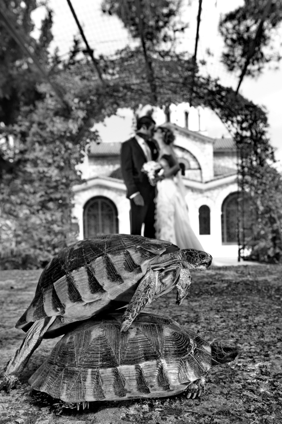 Αστεία φωτογράφιση γάμου