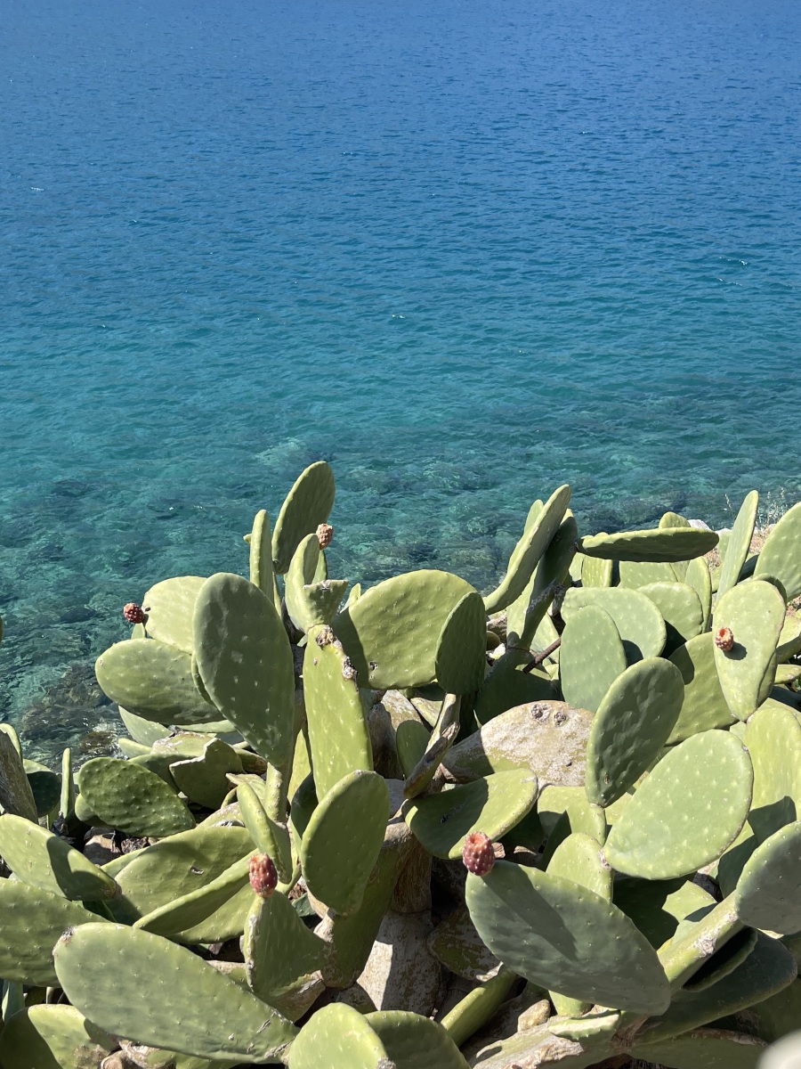 Οδοιπορικό στο χωριό Πλάκα, στη Σπιναλόγκα, εκεί που γυρίστηκε η τηλεοπτική σειρά «Το Νησί»