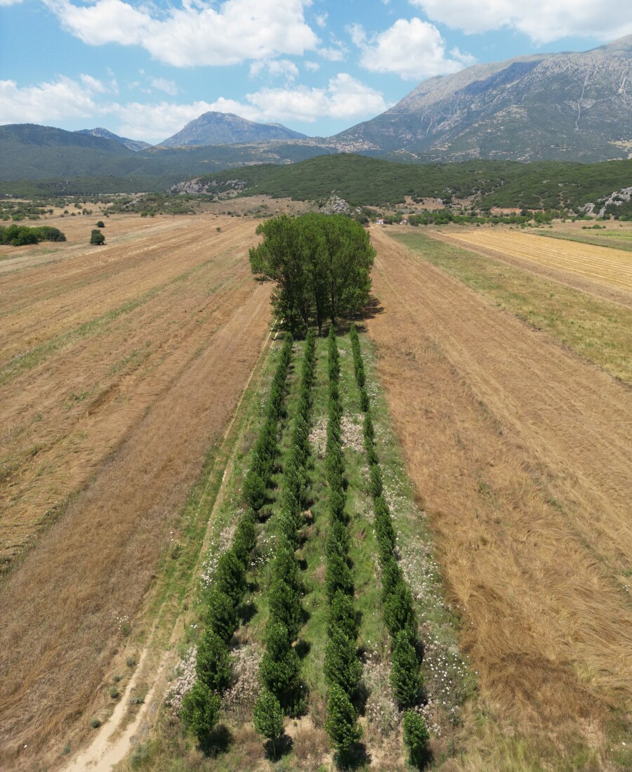 Λίμνη Στυμφαλία