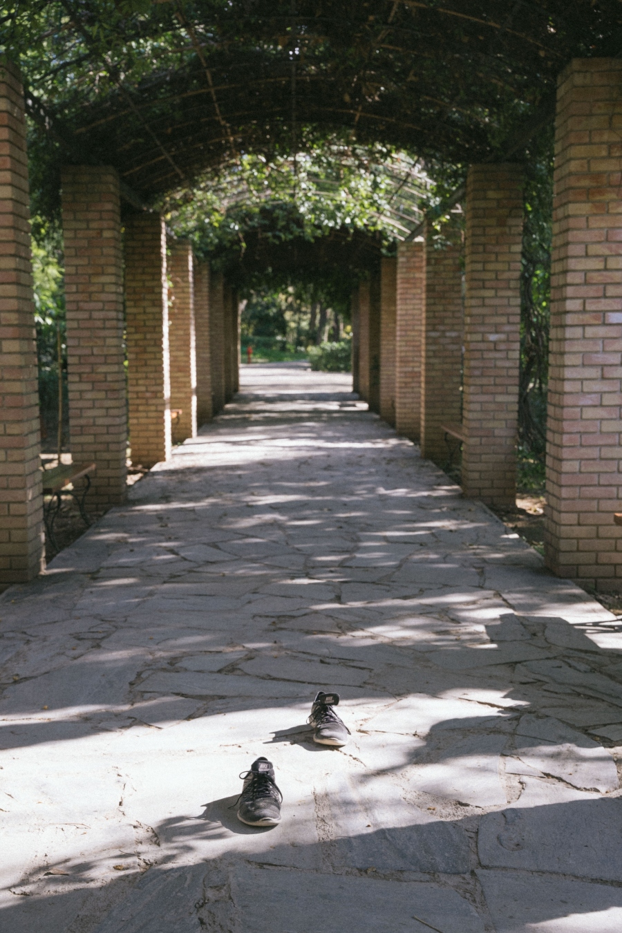 Γιώργος Ζώης: Ο σκηνοθέτης του «Αρκάντια» παρουσιάζει και γράφει στην ATHENS VOICE για το φωτογραφικό project με τα αδέσποτα παπούτσια στην Αθήνα