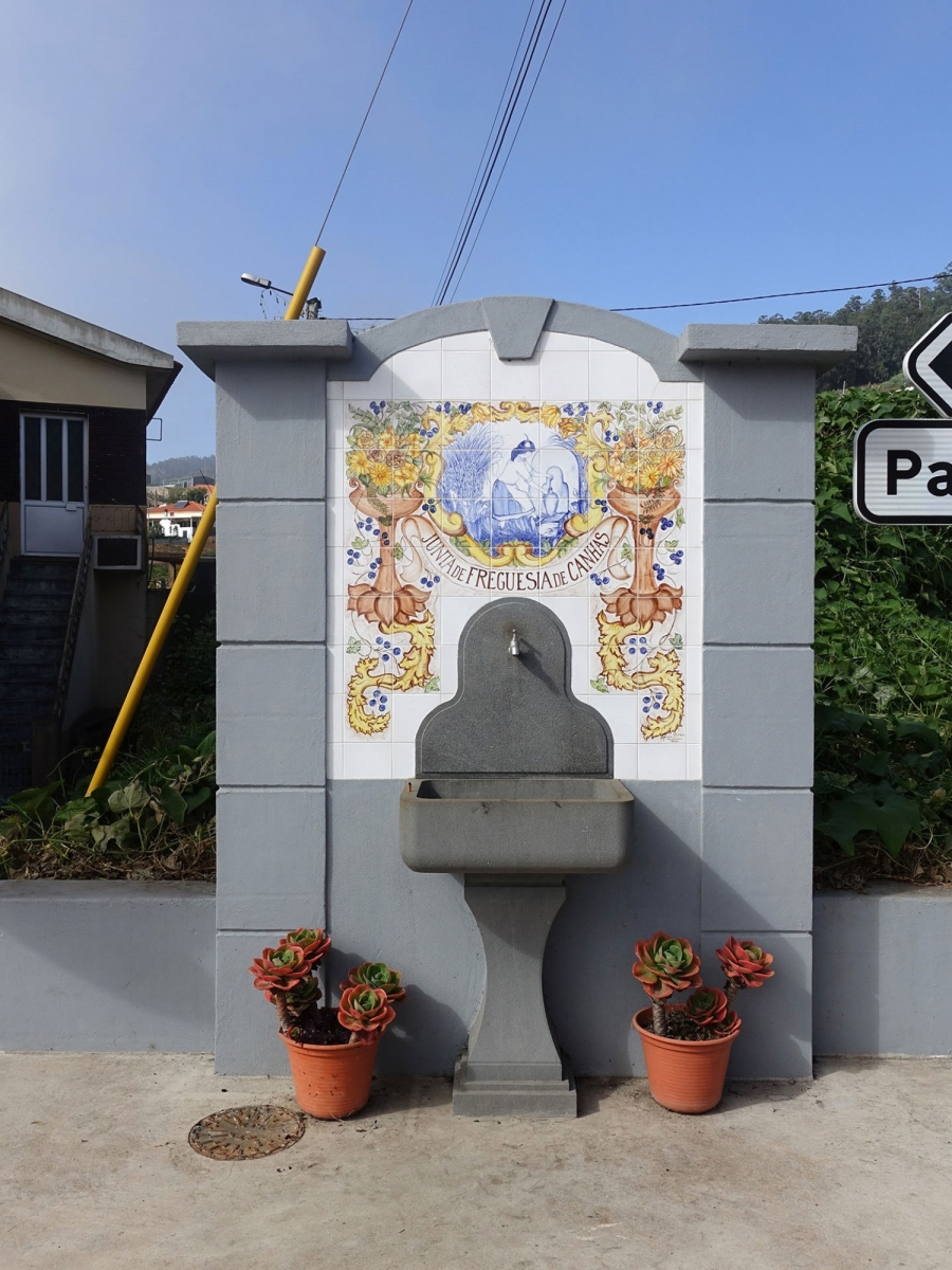 Μαδέρα: Δουλεύοντας ως εργάτης γης σε έναν τροπικό παράδεισο