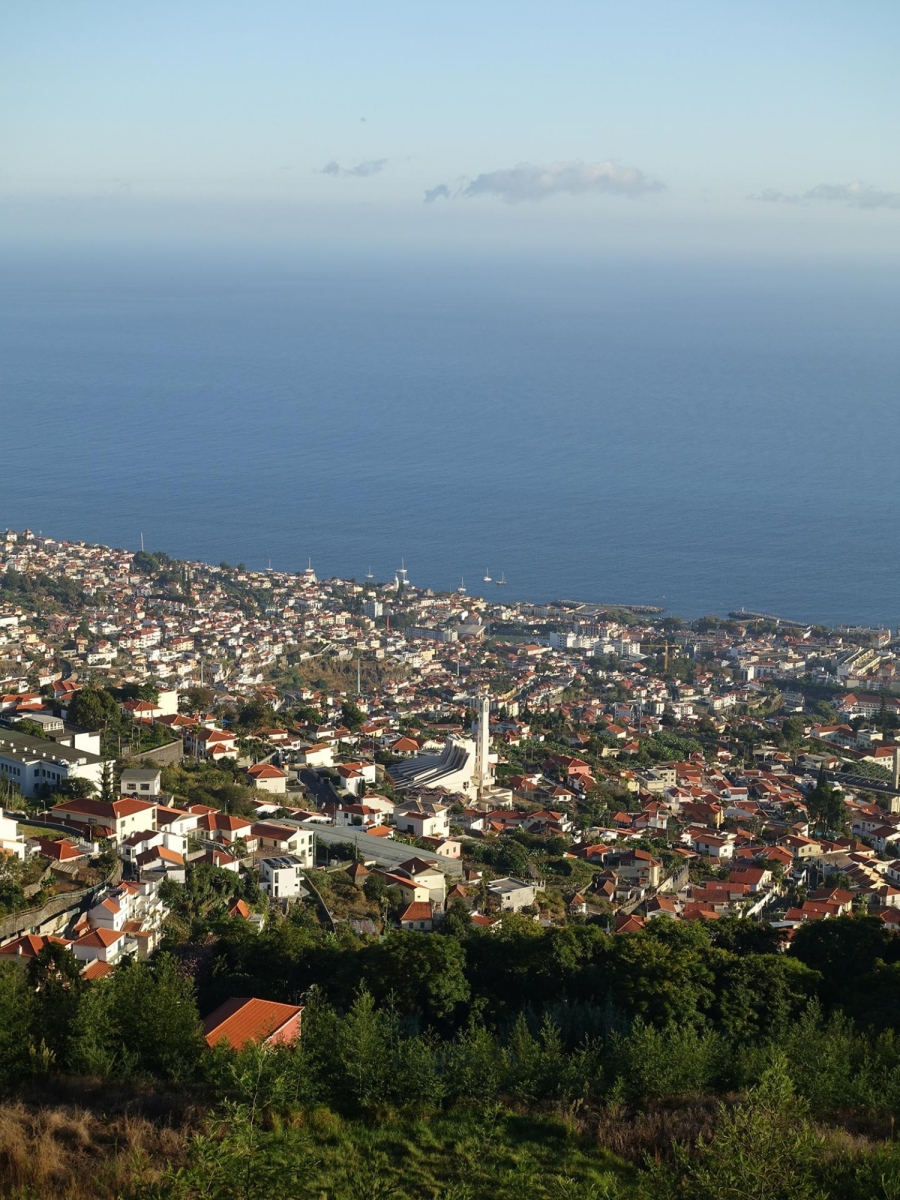 Μαδέρα: Δουλεύοντας ως εργάτης γης σε έναν τροπικό παράδεισο