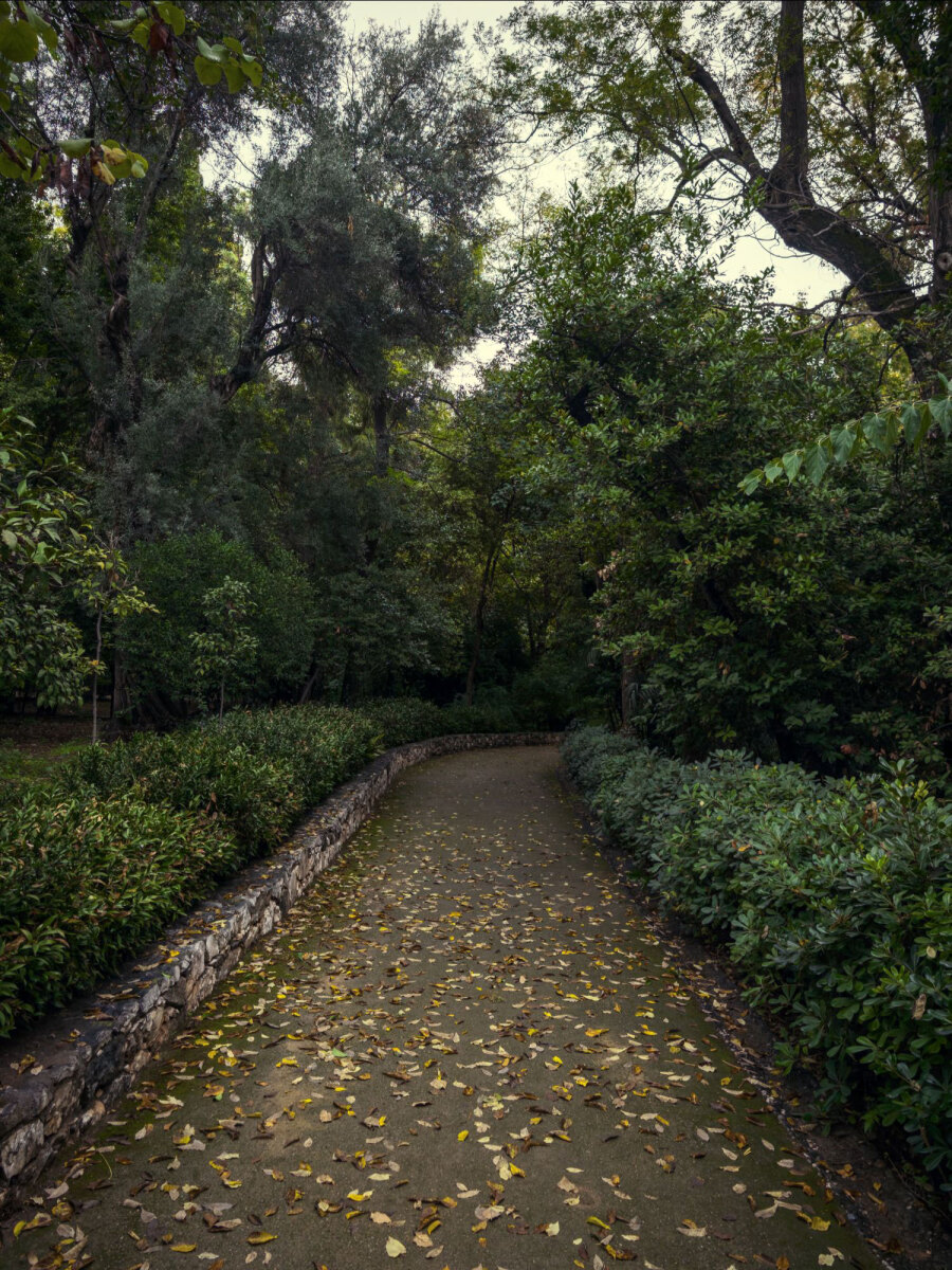 Ο Βασίλης Μακρής φωτογραφίζει τον Εθνικό Κήπο χωρίς ανθρώπους, αναδεικνύοντας τη συνύπαρξη φύσης, ιστορίας και μνήμης.