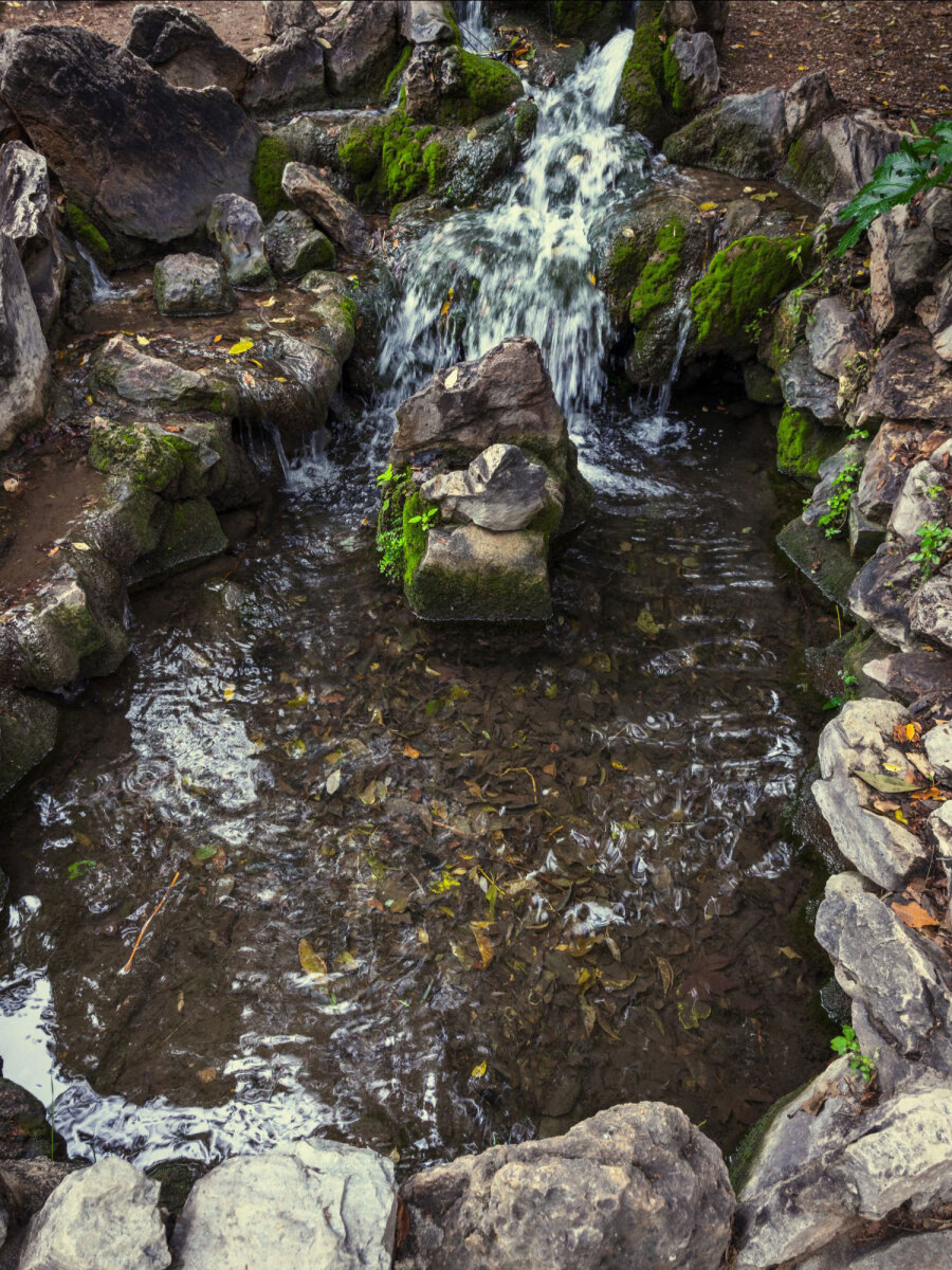 Ο Βασίλης Μακρής φωτογραφίζει τον Εθνικό Κήπο χωρίς ανθρώπους, αναδεικνύοντας τη συνύπαρξη φύσης, ιστορίας και μνήμης.